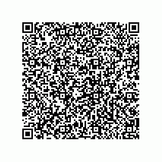 vCard 79585180378