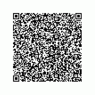 vCard 79585180380