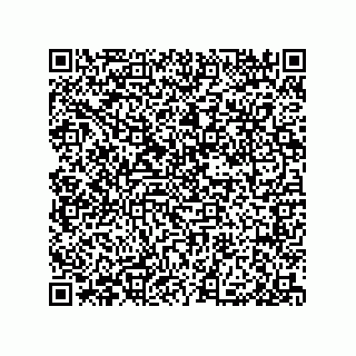 vCard 79585180381