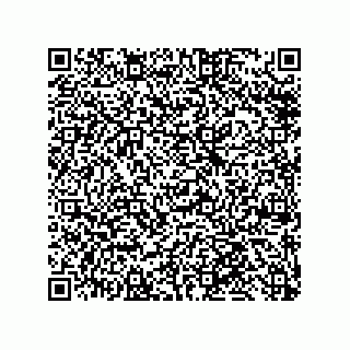 vCard 79585180382