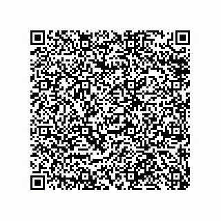 vCard 79585180385
