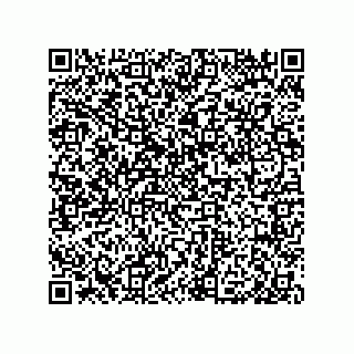 vCard 79585180387