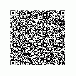 vCard 79585180388