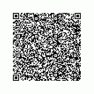 vCard 79585180389