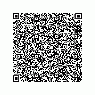 vCard 79585180398