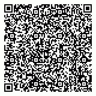 vCard 79585377633