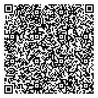 vCard 79585377817