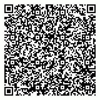 vCard 79585377829