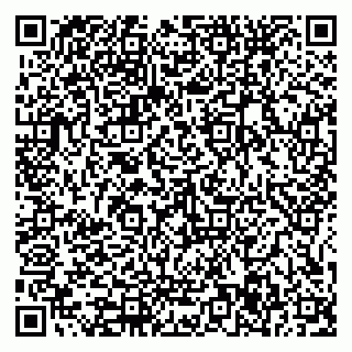 vCard 79585377851