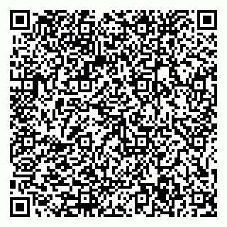 vCard 79585377871