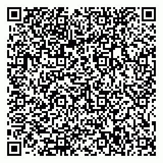 vCard 79585377873