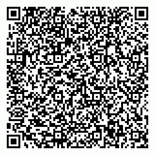 vCard 79585377879