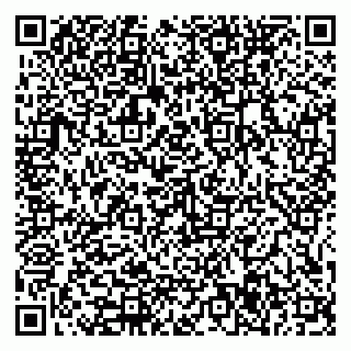 vCard 79585377903