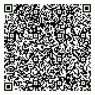 vCard 79585377910