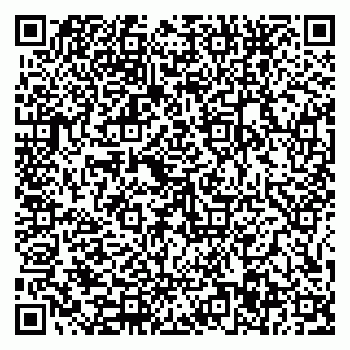 vCard 79585377919