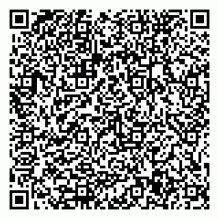 vCard 79585377920