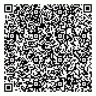 vCard 79585377929