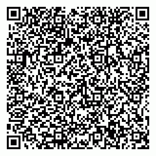 vCard 79585377931