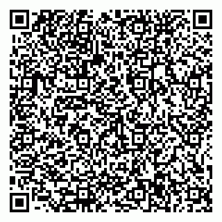 vCard 79585377935