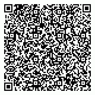 vCard 79585377938