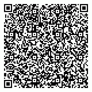vCard 79585377969