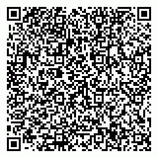 vCard 79585377981
