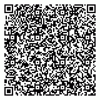 vCard 79585377984
