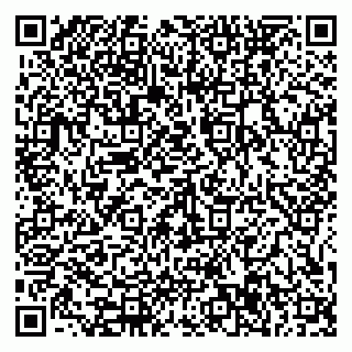 vCard 79585377987