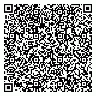 vCard 79585377993