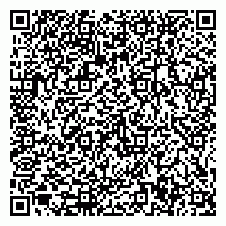 vCard 79585377998