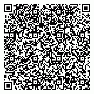 vCard 79585377999