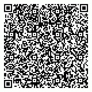 vCard 79585378000