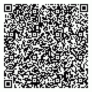 vCard 79585378001