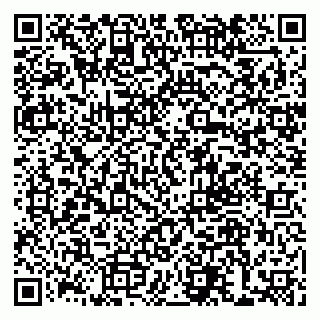 vCard 79585378002