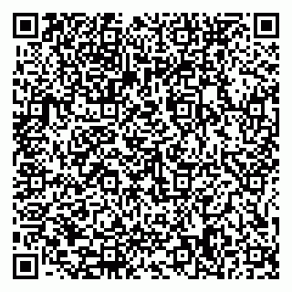 vCard 79585378003