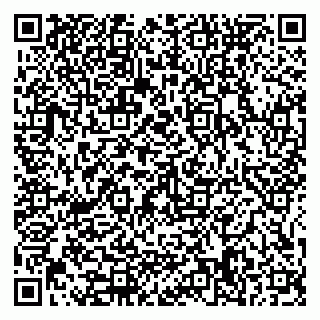 vCard 79585378005