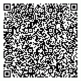 vCard 79585378010