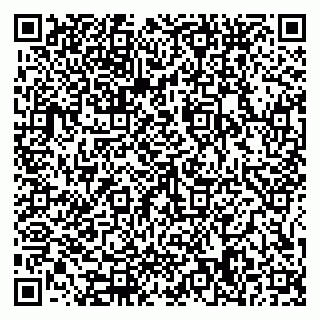 vCard 79585378013