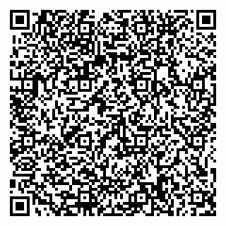 vCard 79585378017