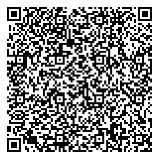 vCard 79585378019