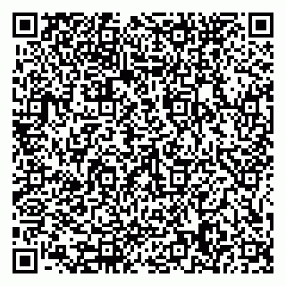 vCard 79585378020