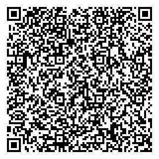 vCard 79585378024