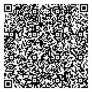 vCard 79585378027