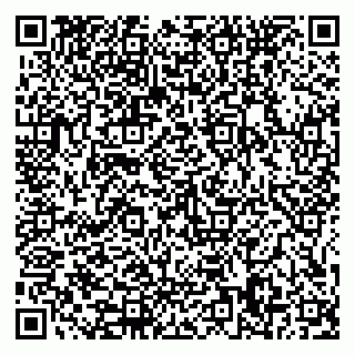 vCard 79585378029