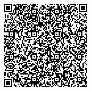 vCard 79585378033