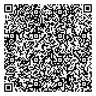 vCard 79585378035