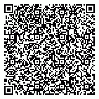 vCard 79585378037