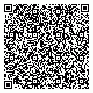 vCard 79585378038