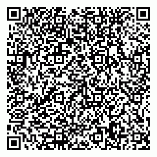 vCard 79585378039