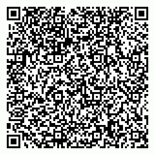 vCard 79585378040